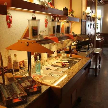 Saechsischer Hof Chemnitz (Saská Kamenice)