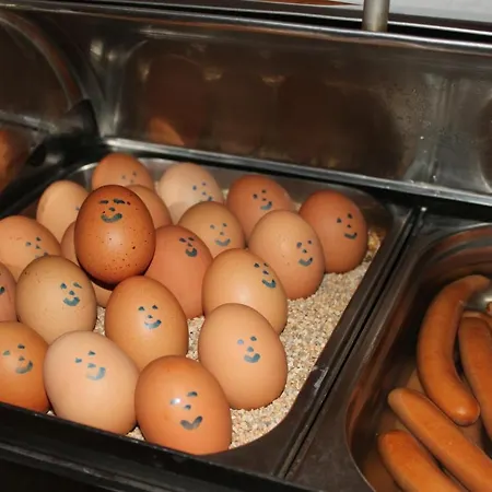 Hotel Saechsischer Hof Chemnitz