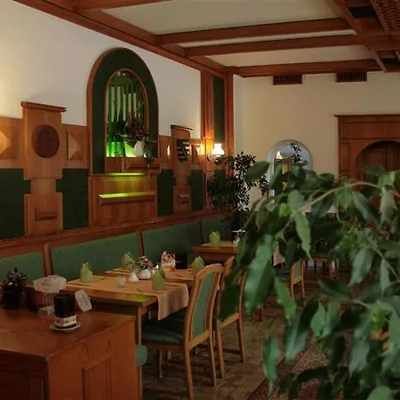 Saechsischer Hof Otel