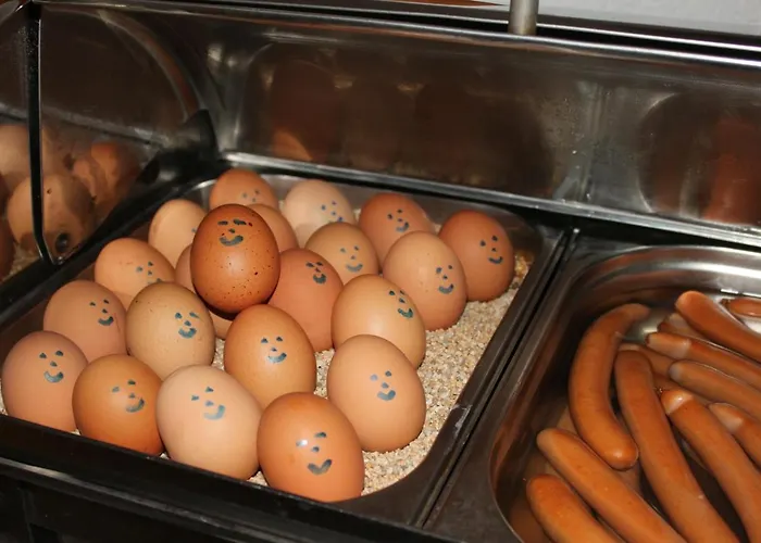 Hotel Saechsischer Hof Chemnitz