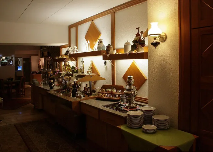 Saechsischer Hof فندق